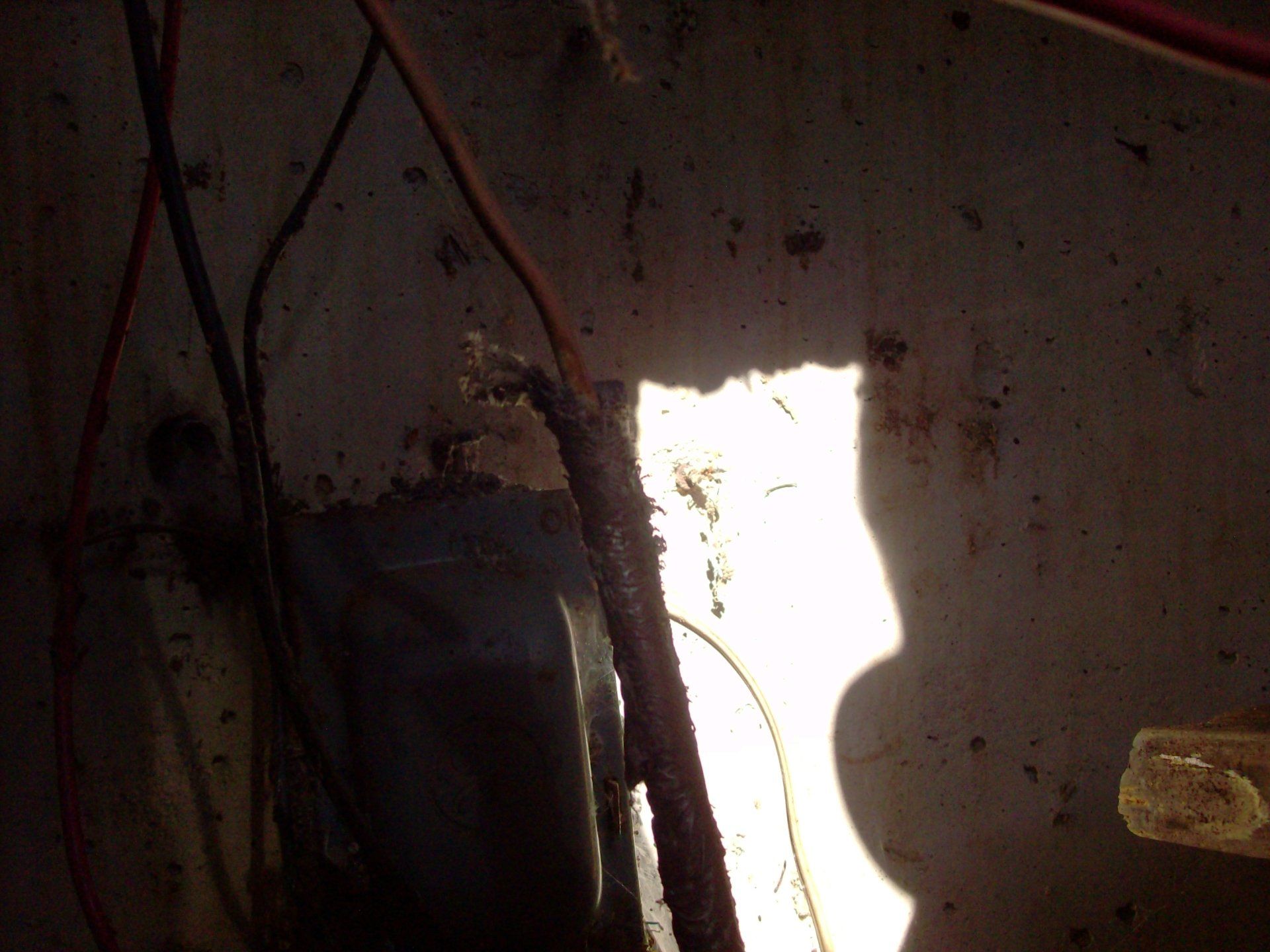 Not Us Gallery project 16